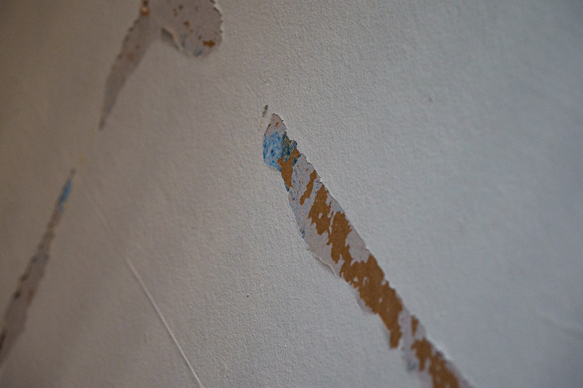 Flood Cleanup service in Lynchburg, VA